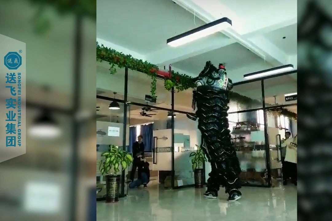 送飛實業集團：正月十五，舞獅鬧元宵 2019